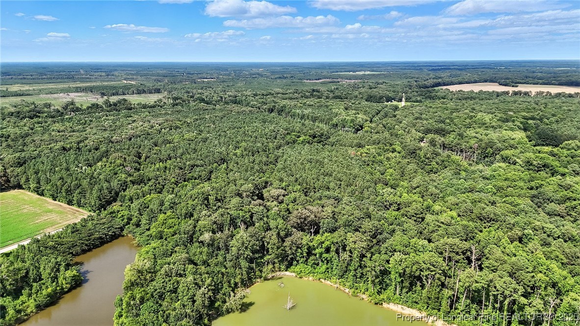 5725 River Road Wade, NC 28395 - Photo 14 of 35 a view of a yard with an outdoor seating