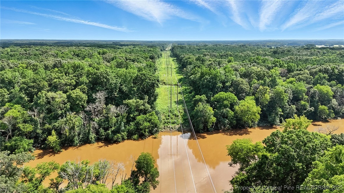 5725 River Road Wade, NC 28395 - Photo 16 of 35 a view of a yard with a lake view