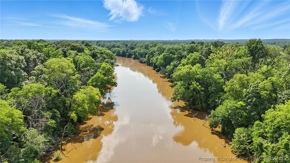 5725 River Road Wade, NC 28395 - Photo 18 of 35 a view of a lake in middle of forest