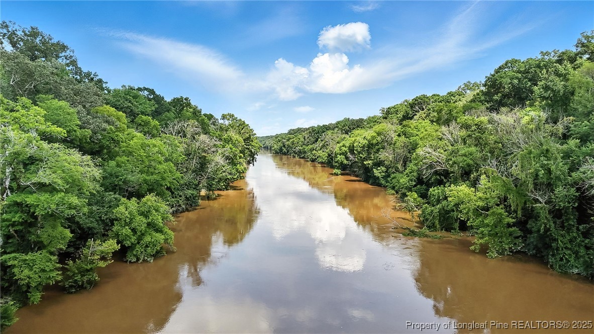 5725 River Road Wade, NC 28395 - Photo 19 of 35 a view of a lake in middle of forest