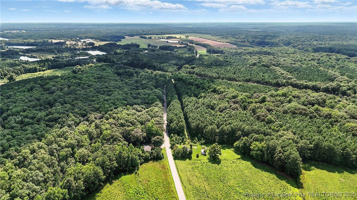 5725 River Road Wade, NC 28395 - Photo 21 of 35 a view of a yard with an ocean