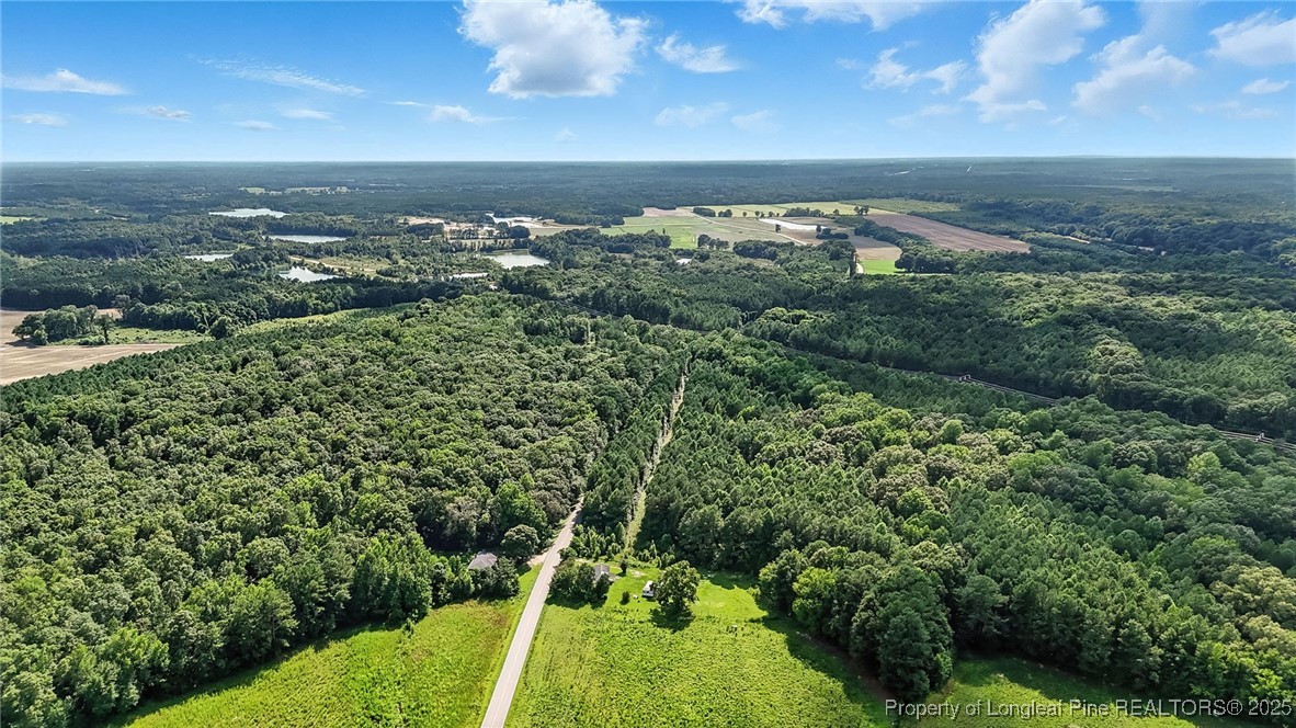 5725 River Road Wade, NC 28395 - Photo 23 of 35 a view of a green field