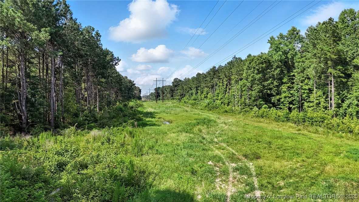 5725 River Road Wade, NC 28395 - Photo 24 of 35 a view of a green field