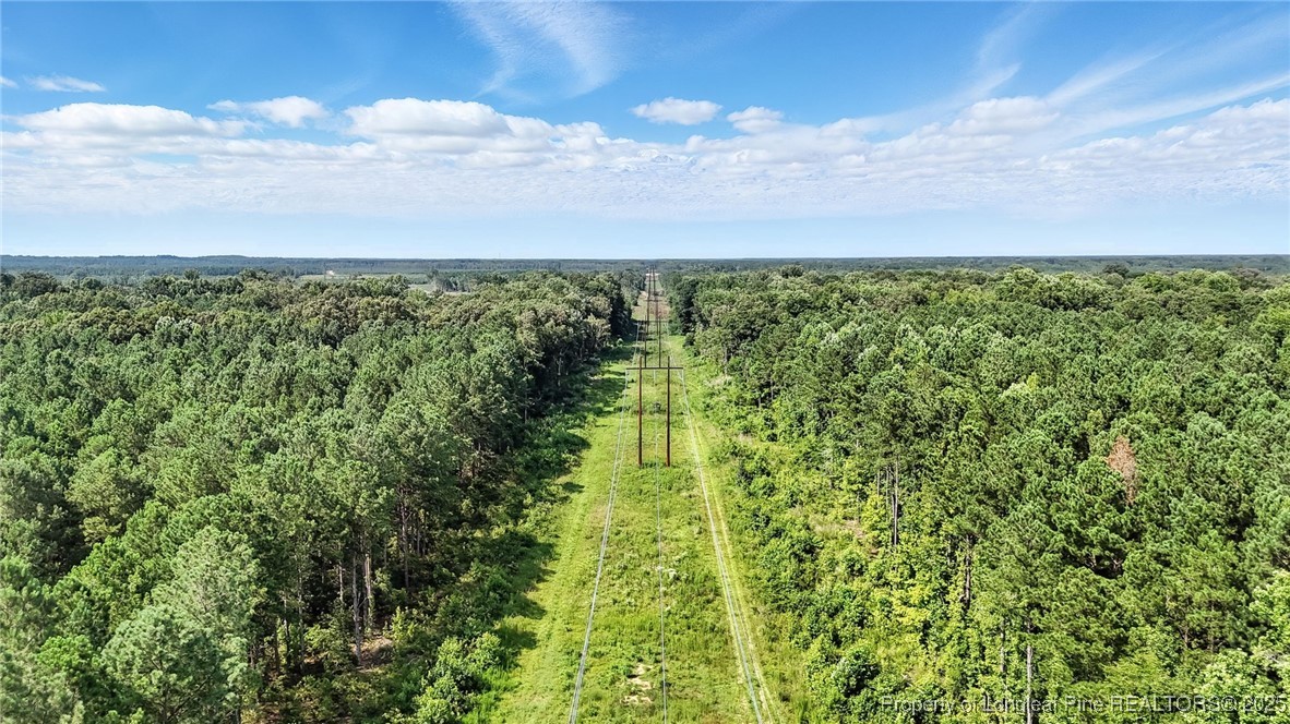 5725 River Road Wade, NC 28395 - Photo 25 of 35 a view of an outdoor space and a lake view