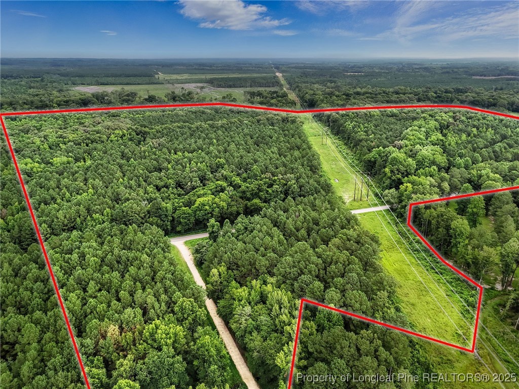 5725 River Road Wade, NC 28395 - Photo 28 of 35 a view of green field with wooden fence