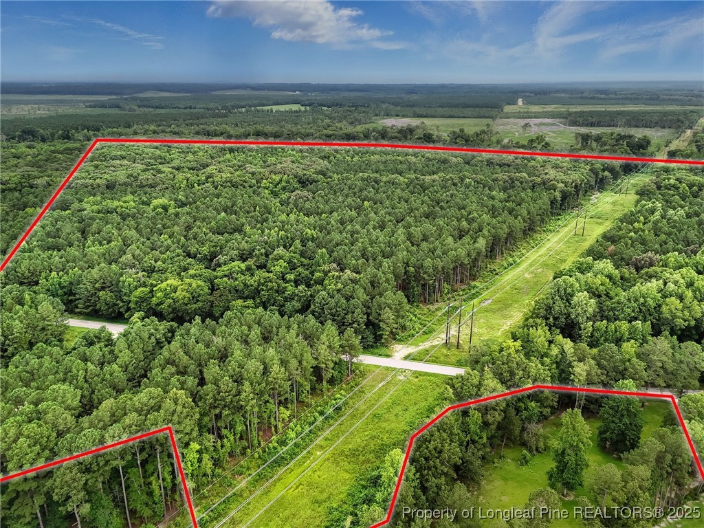 5725 River Road Wade, NC 28395 - Photo 29 of 35 a view of a field with flowers