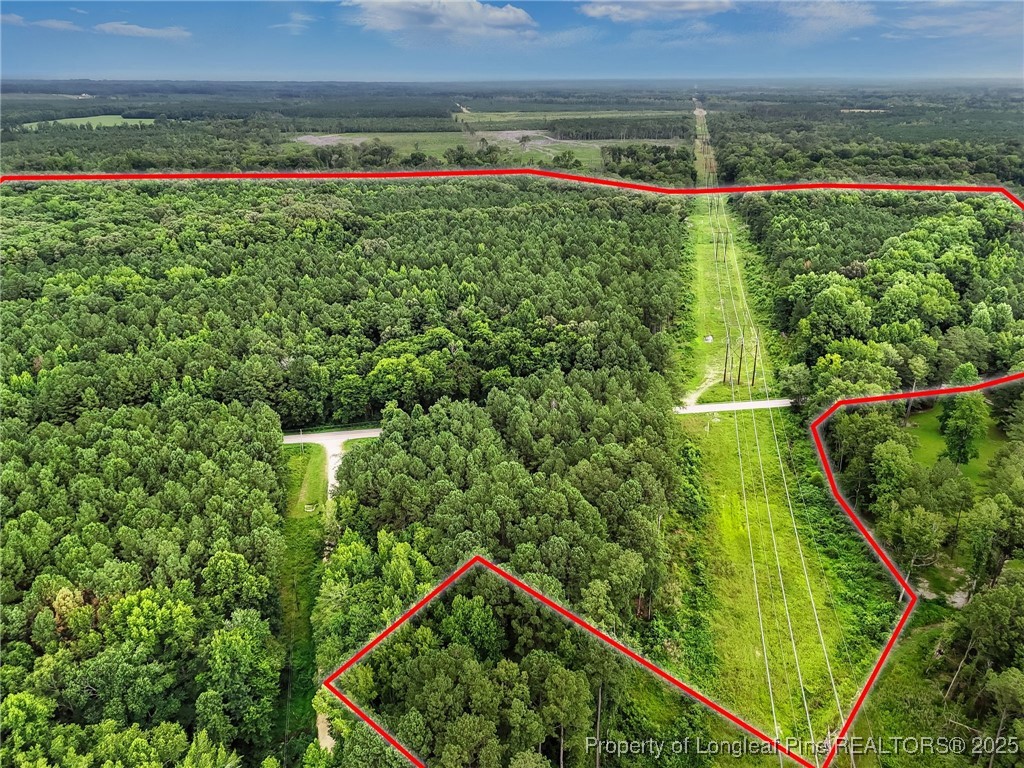 5725 River Road Wade, NC 28395 - Photo 30 of 35 a view of a yard with a garden and plants
