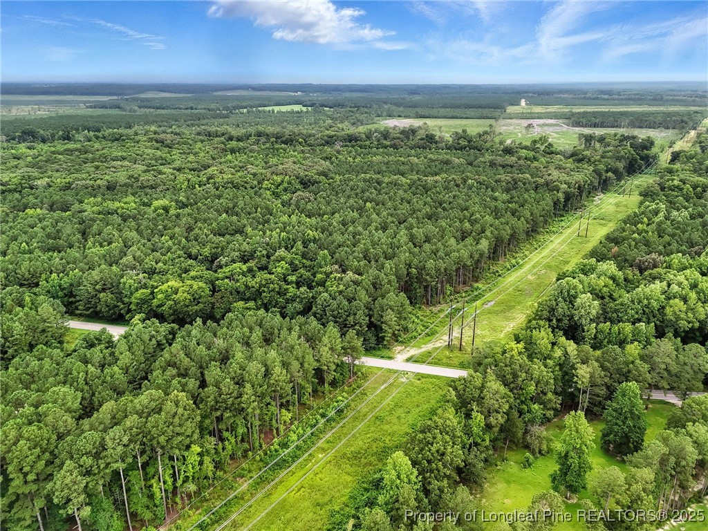 5725 River Road Wade, NC 28395 - Photo 31 of 35 a view of a yard with an outdoor space