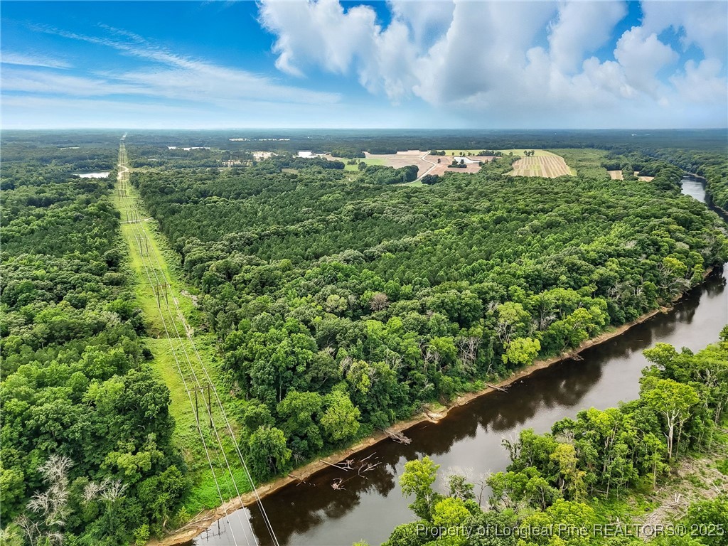 5725 River Road Wade, NC 28395 - Photo 32 of 35 a view of a garden