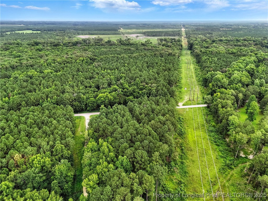 5725 River Road Wade, NC 28395 - Photo 33 of 35 a view of a green field with lots of green space in it