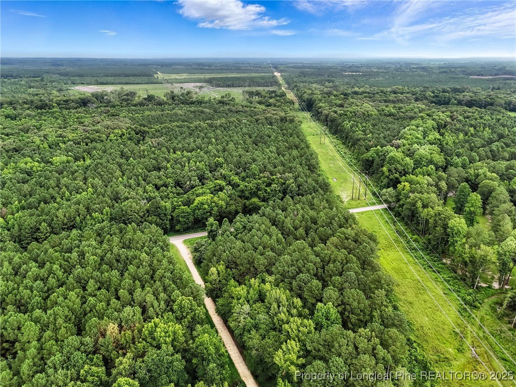 5725 River Road Wade, NC 28395 - Photo 34 of 35 a view of a yard with an outdoor space