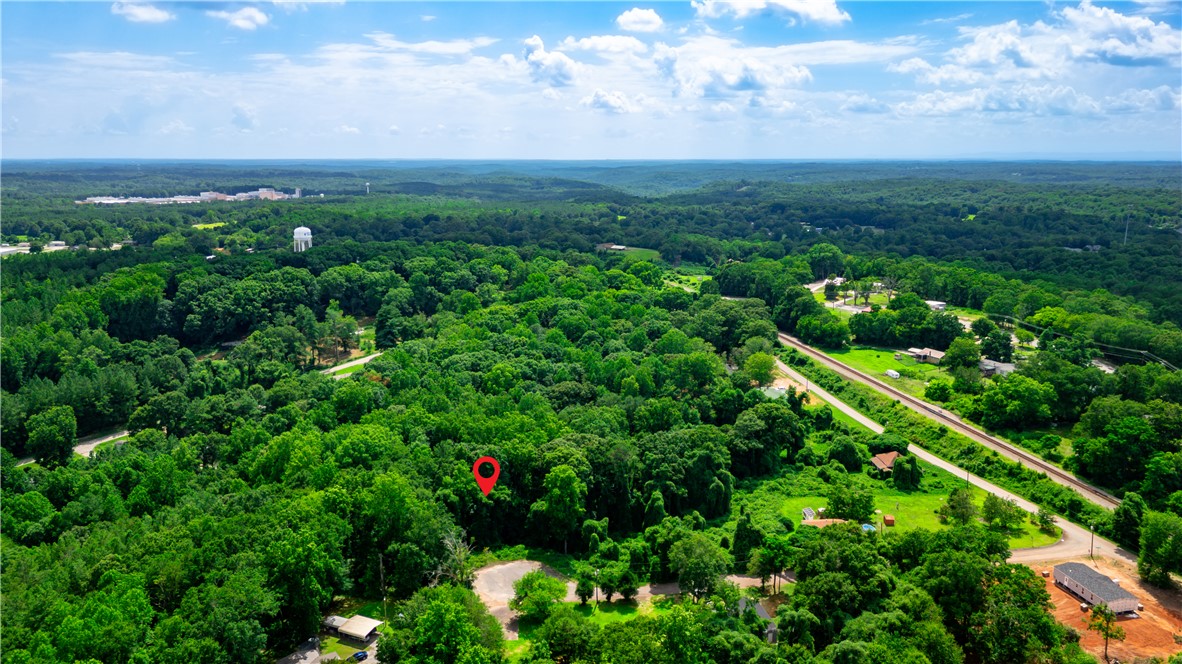 An aerial panorama reveals a vast, tree-filled landscape with distant buildings and a tranquil blue sky.