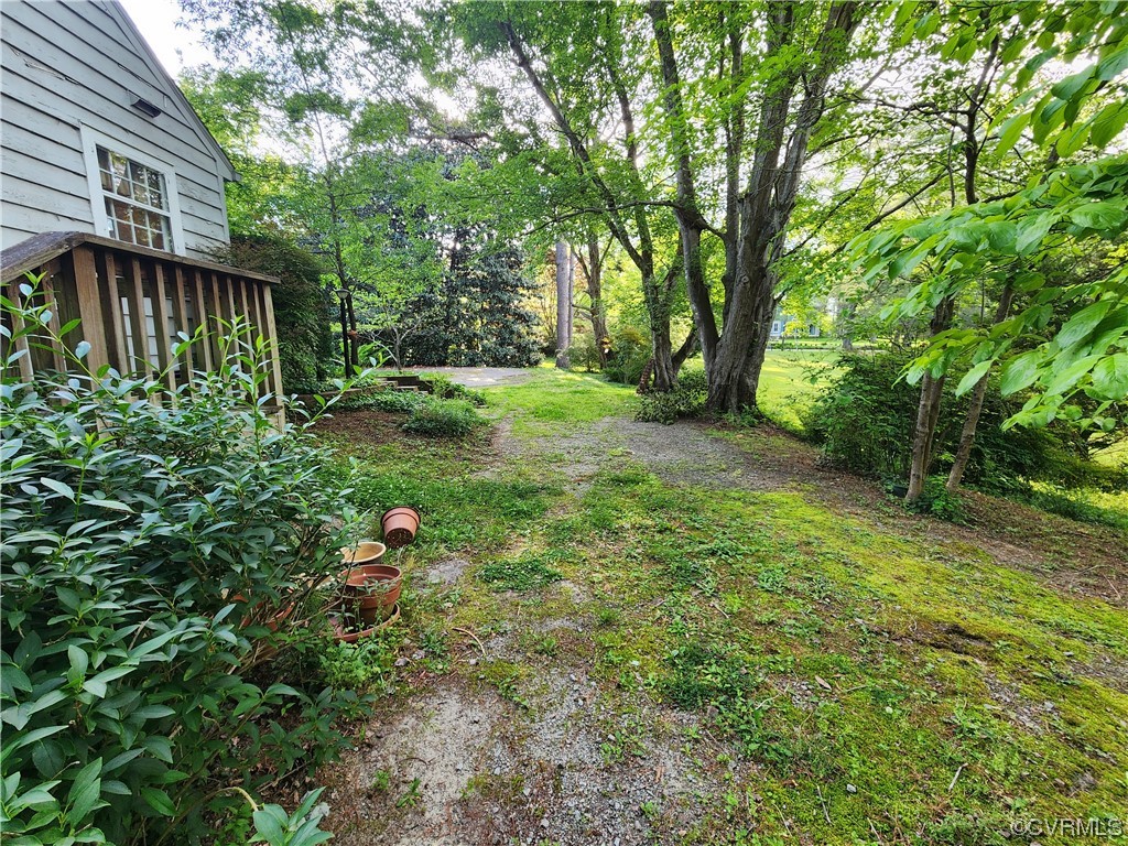 185 Washington Street Boydton, VA 23917 - Photo 38 of 45 a backyard of a house with plants and large trees