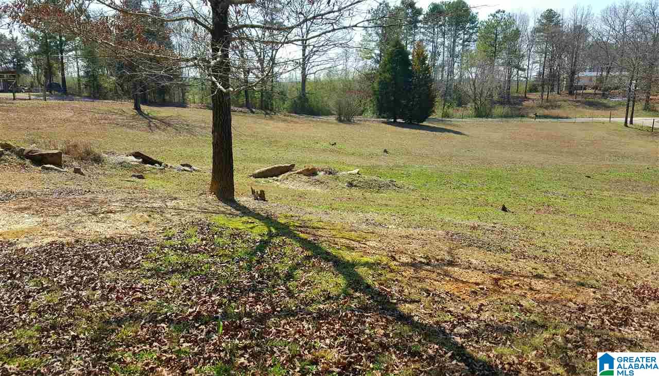 8201 Brooks Road Morris, AL 35116 - Photo 37 of 37