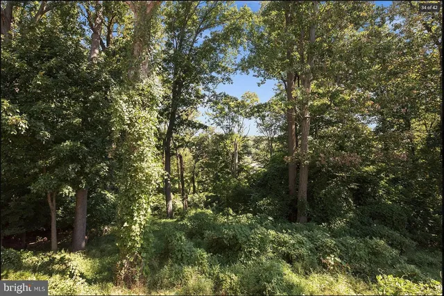 a backyard of a house with lots of trees