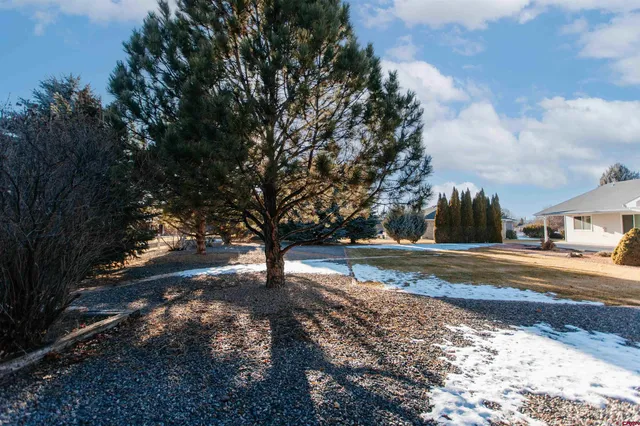 a view of dirt yard with a large tree