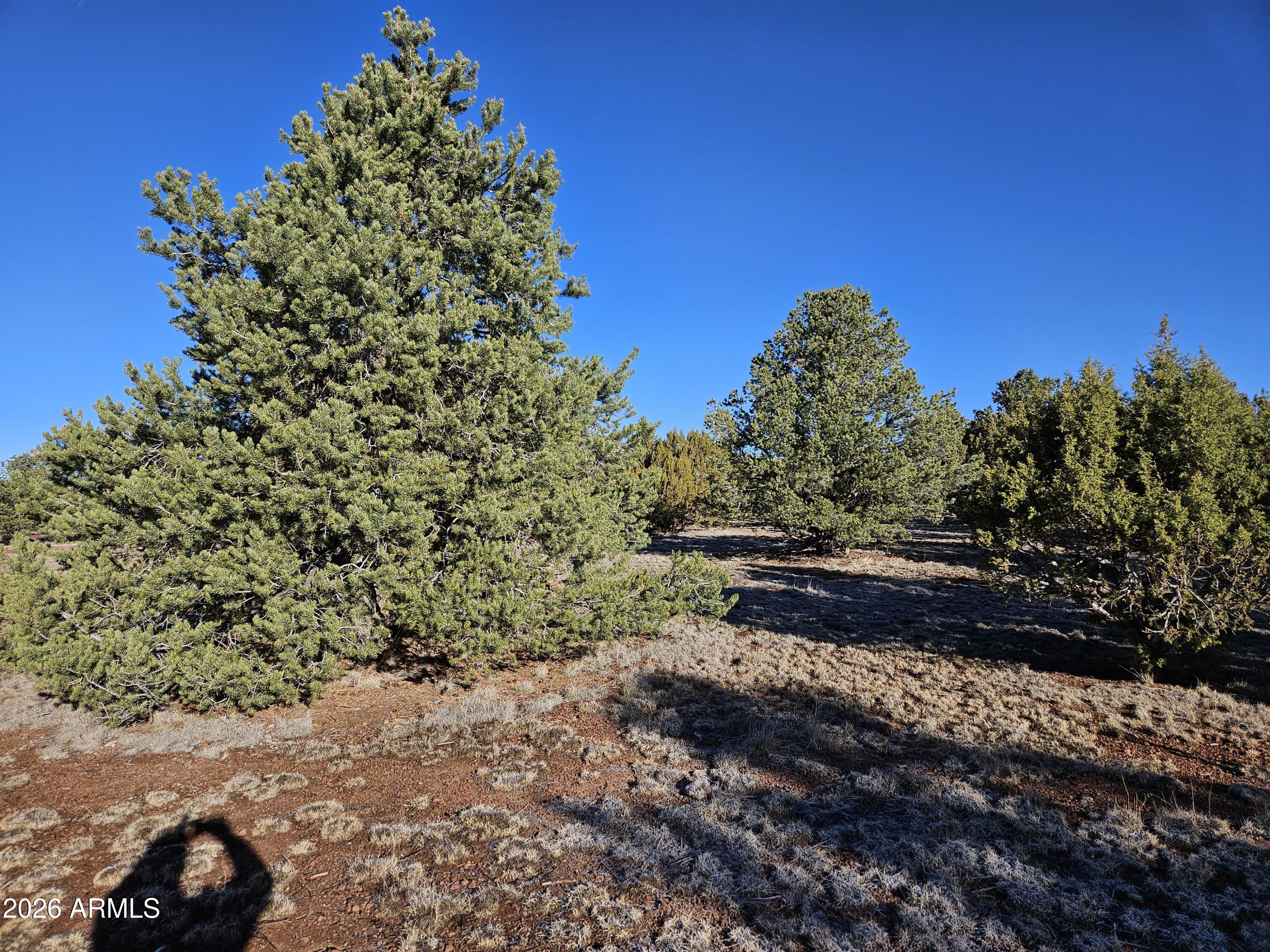 1760 West Honeysuckle Road, Unit 5 Williams, AZ 86046 - Photo 13 of 20
