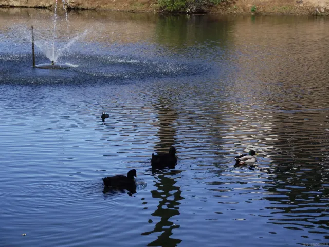 a sign that is sitting on a brick wall