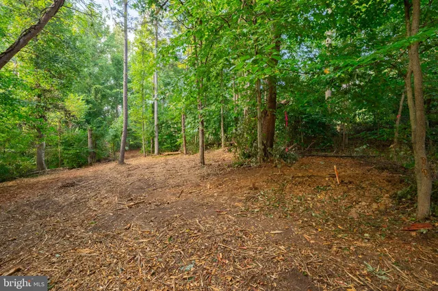 a view of outdoor space and yard