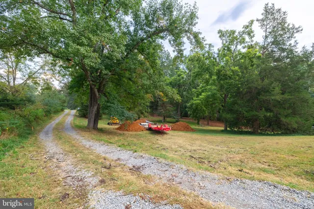 a view of a park with large trees