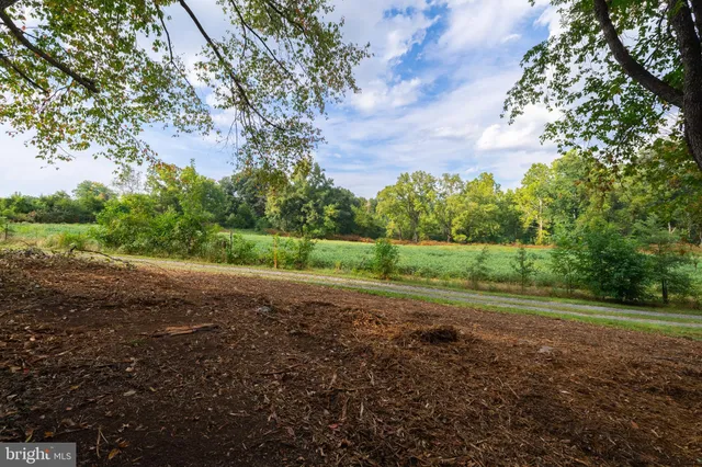 a view of outdoor space with deck and yard