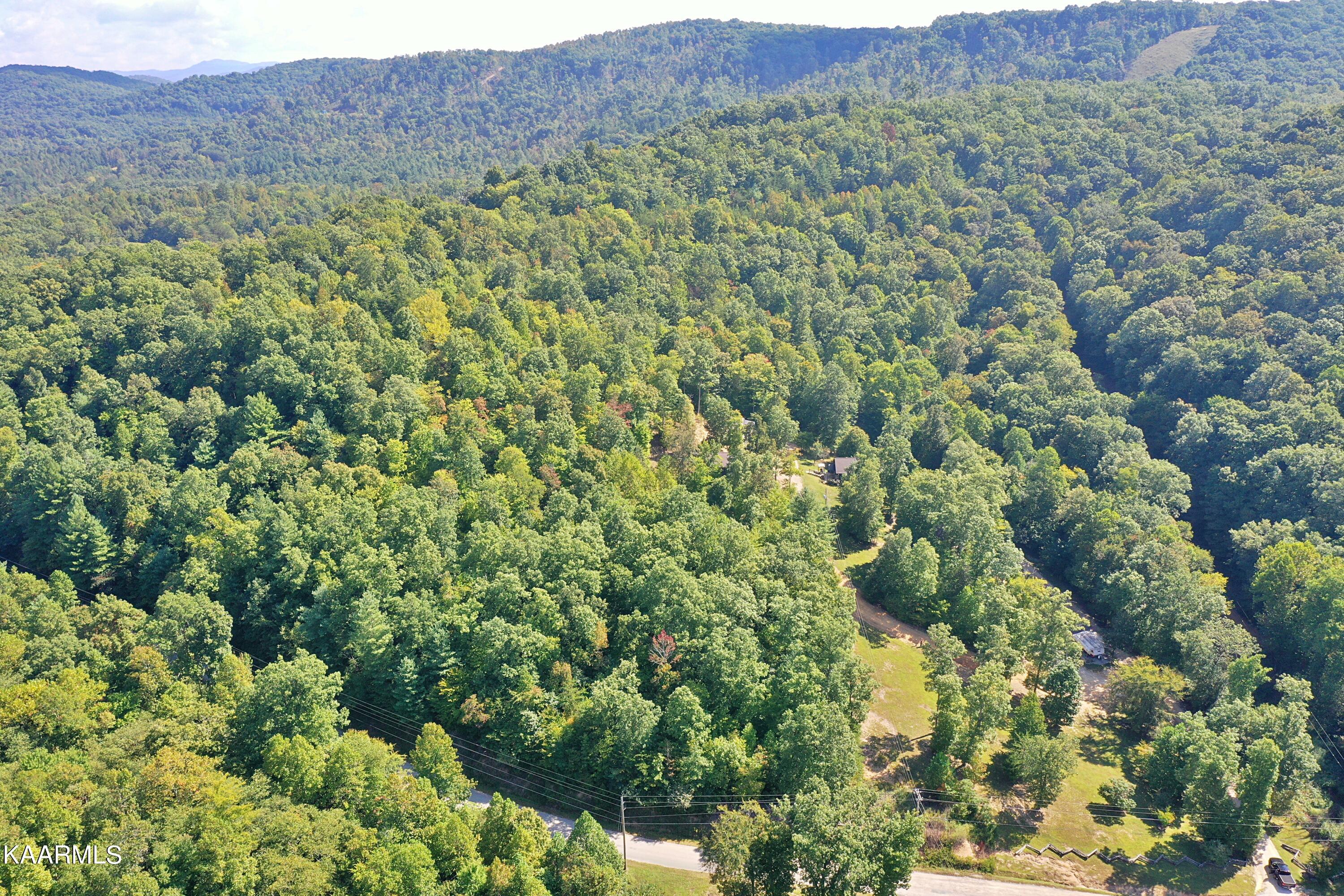 DJI_0308