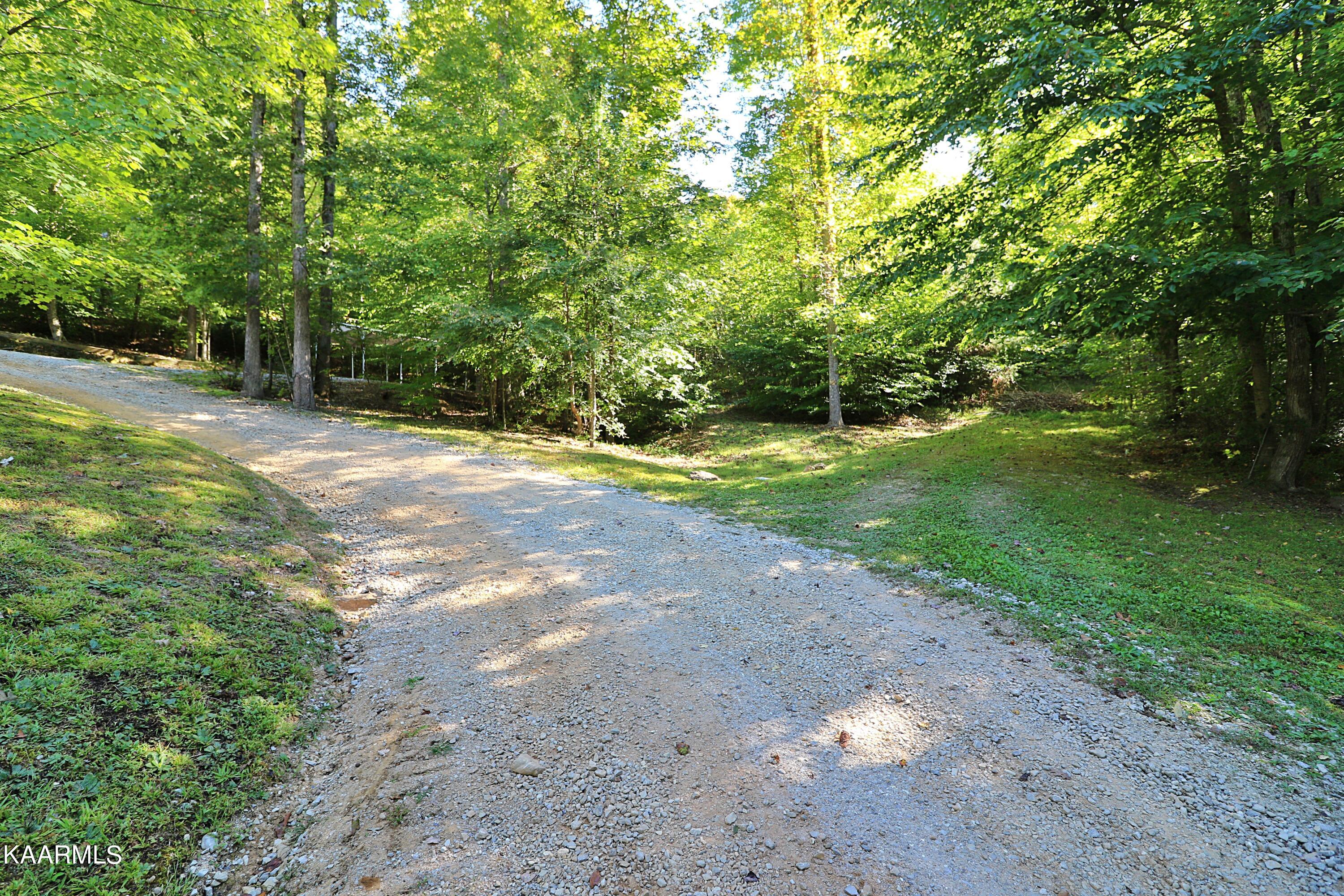 2165 Low Gap Road Robbins, TN 37852 - Photo 21 of 60 094A1324