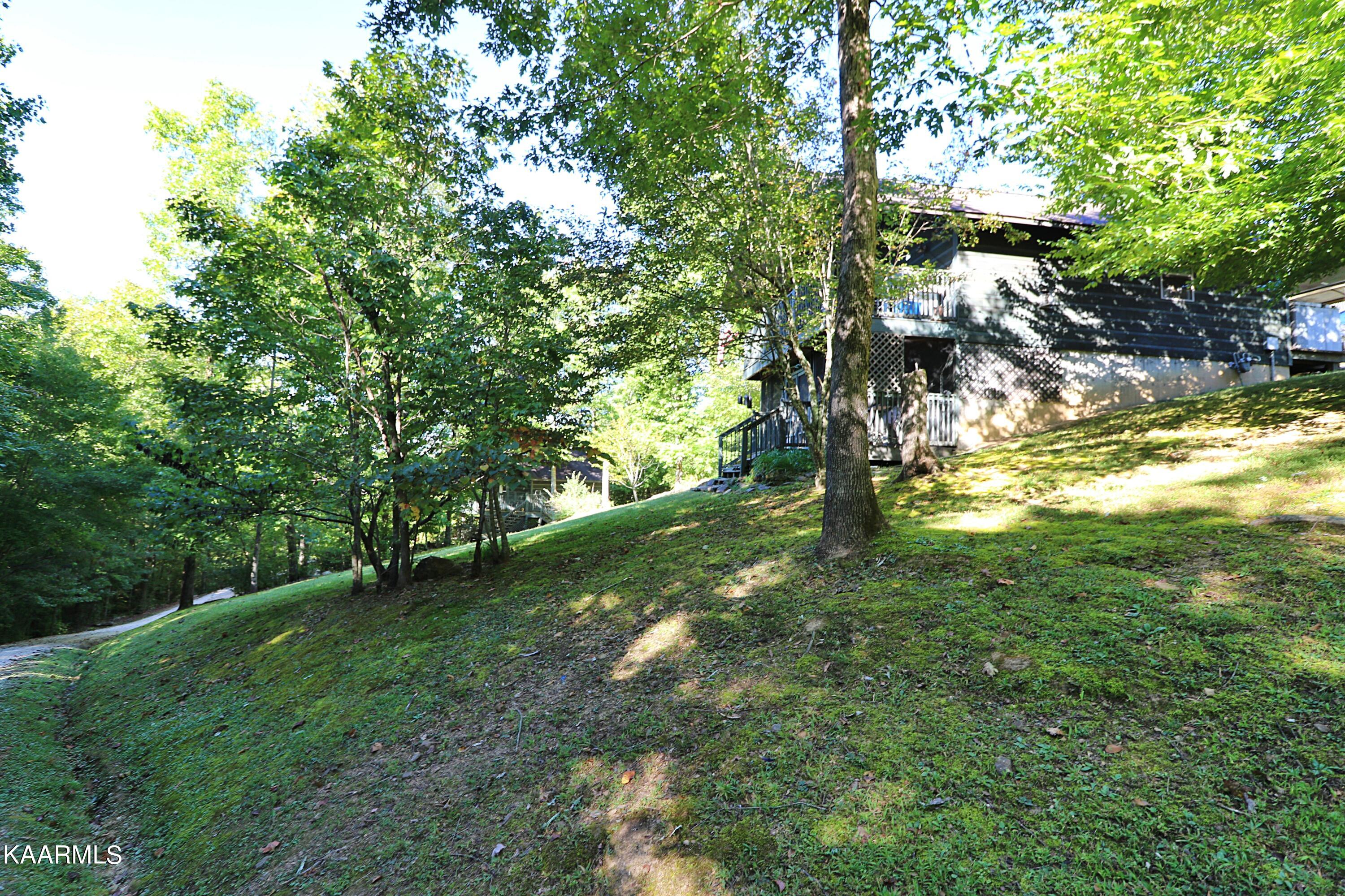 2165 Low Gap Road Robbins, TN 37852 - Photo 34 of 60 094A1321