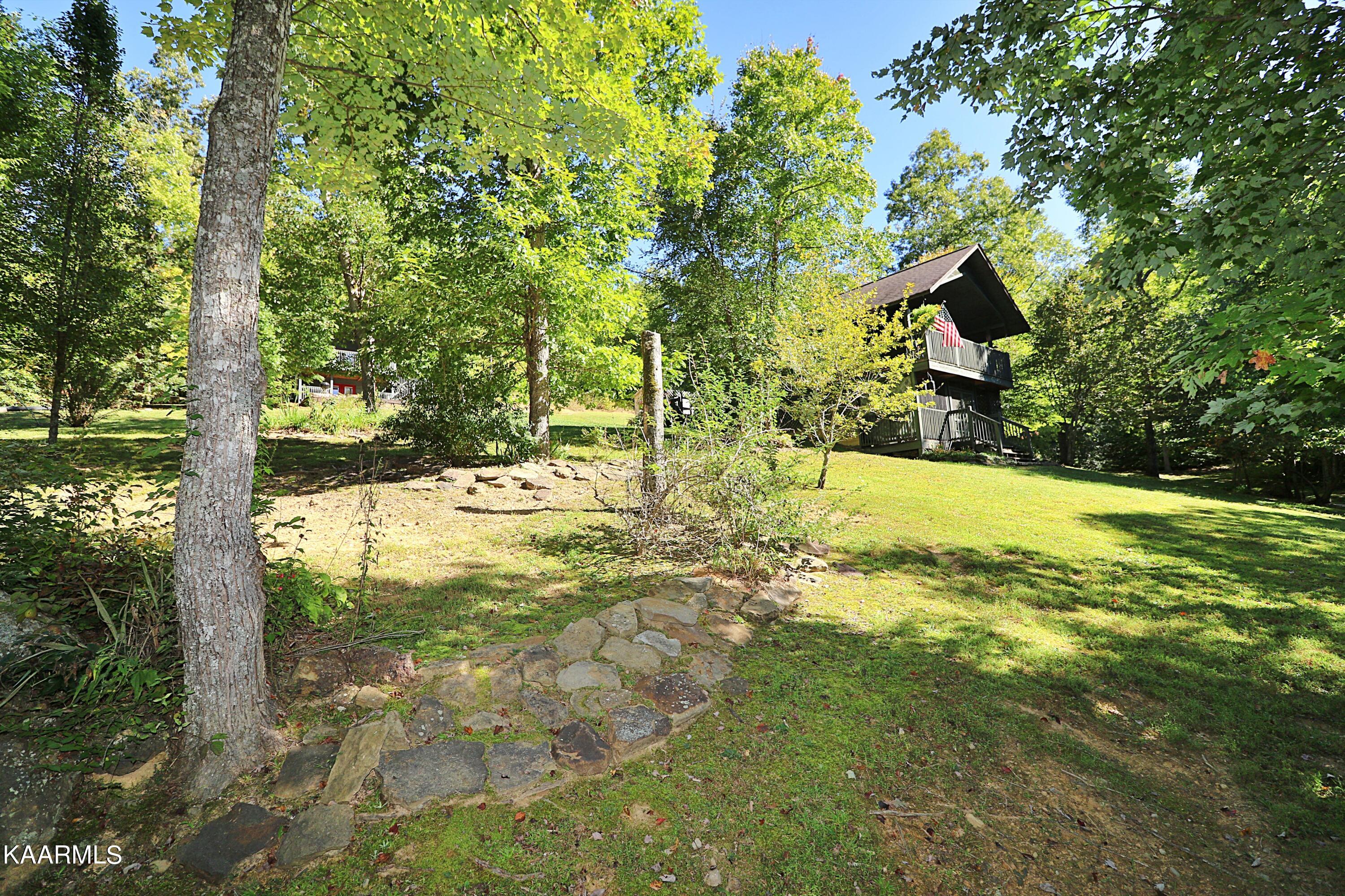 2165 Low Gap Road Robbins, TN 37852 - Photo 35 of 60 094A1397
