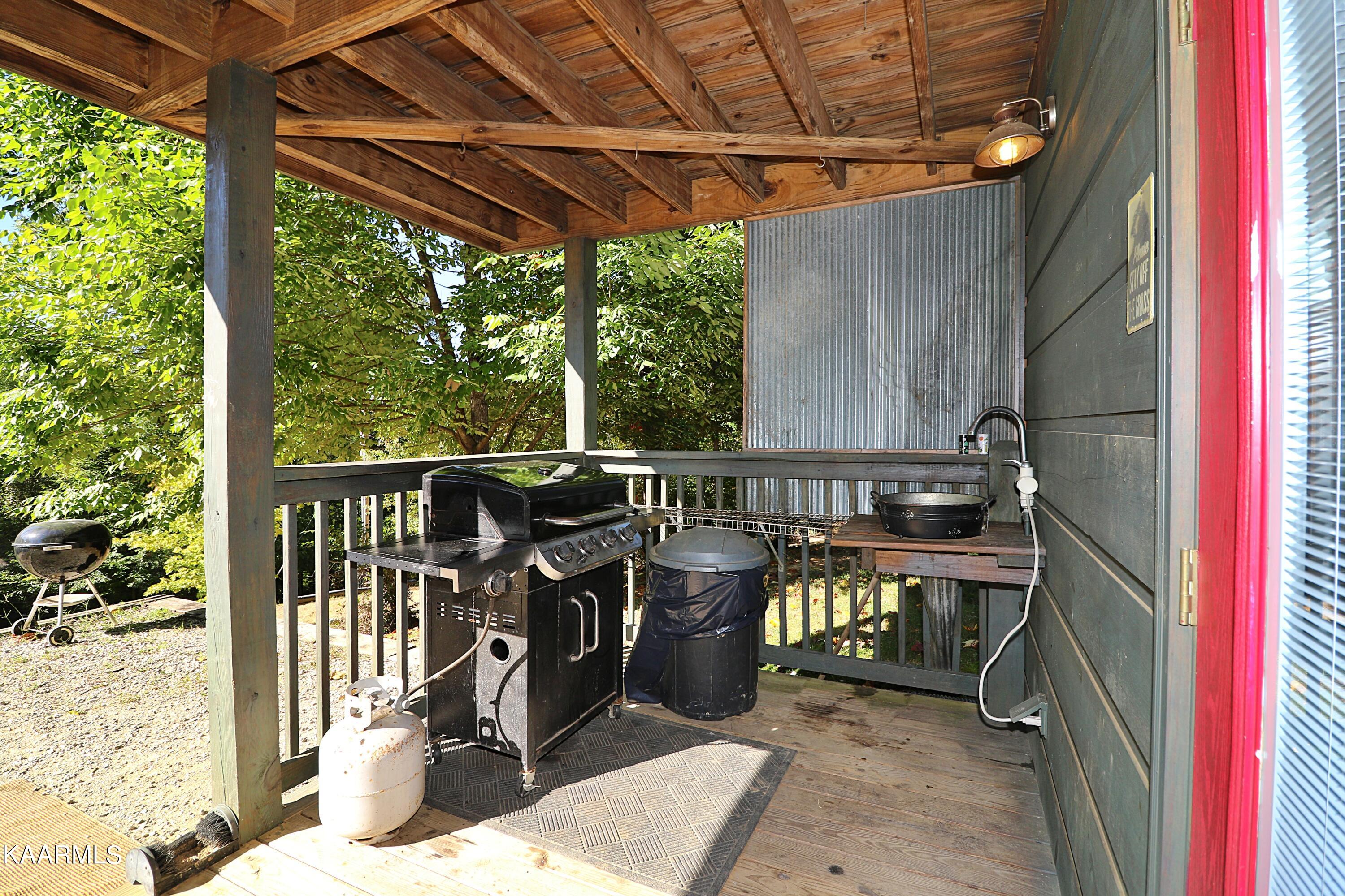 2165 Low Gap Road Robbins, TN 37852 - Photo 44 of 60 094A1346