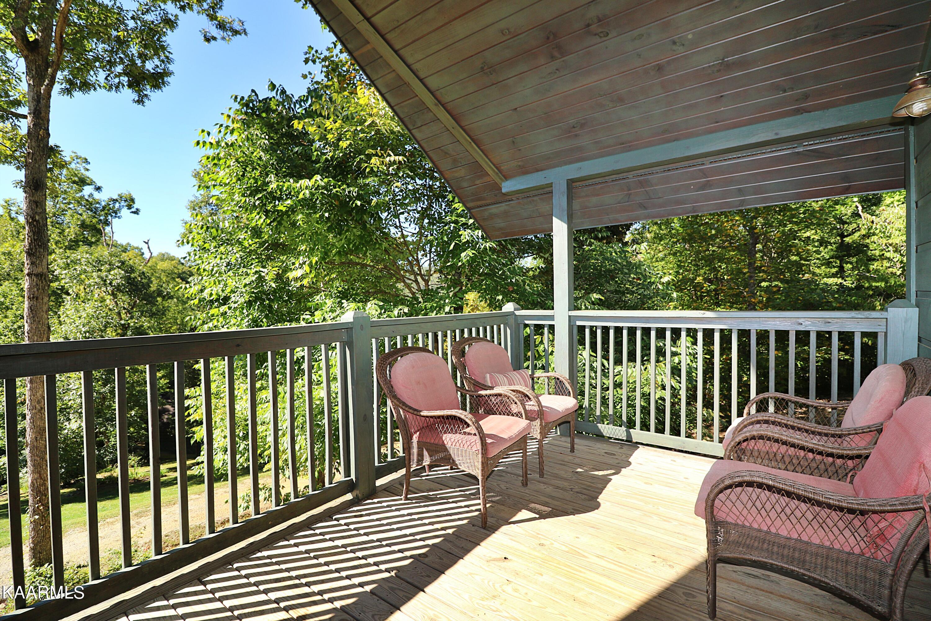 2165 Low Gap Road Robbins, TN 37852 - Photo 53 of 60 094A1361
