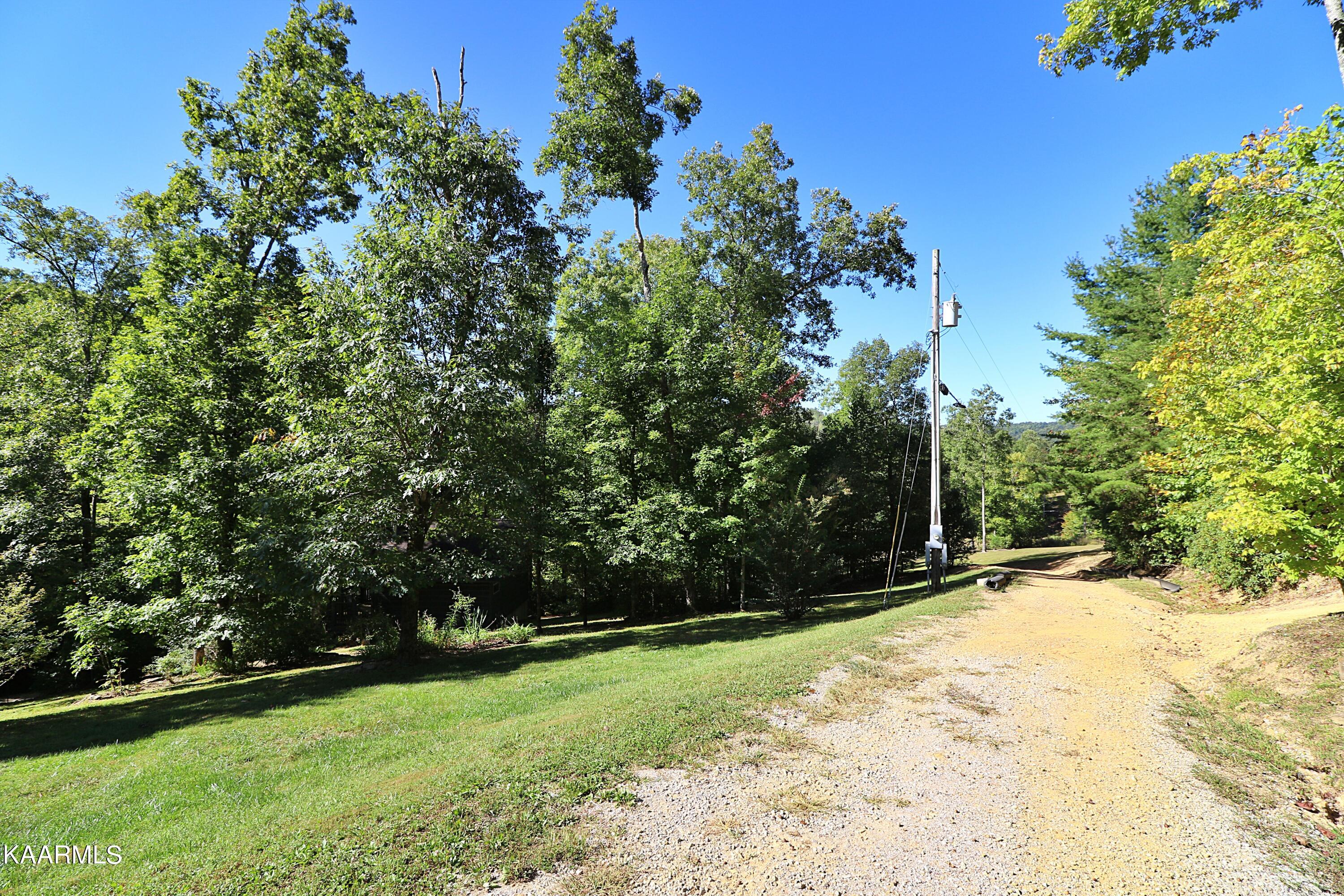 2165 Low Gap Road Robbins, TN 37852 - Photo 54 of 60 094A1371