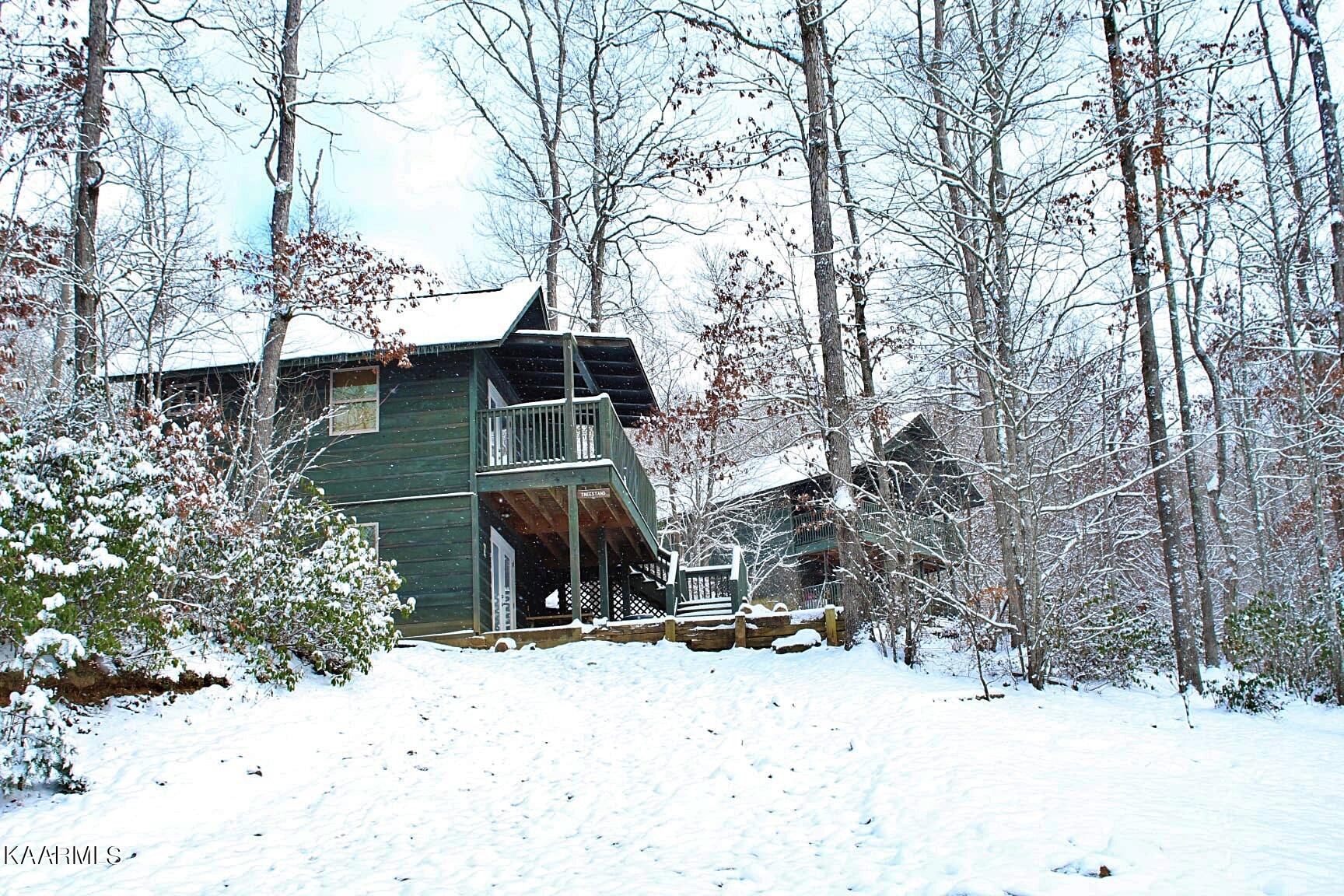 2165 Low Gap Road Robbins, TN 37852 - Photo 55 of 60 TSTHsnow