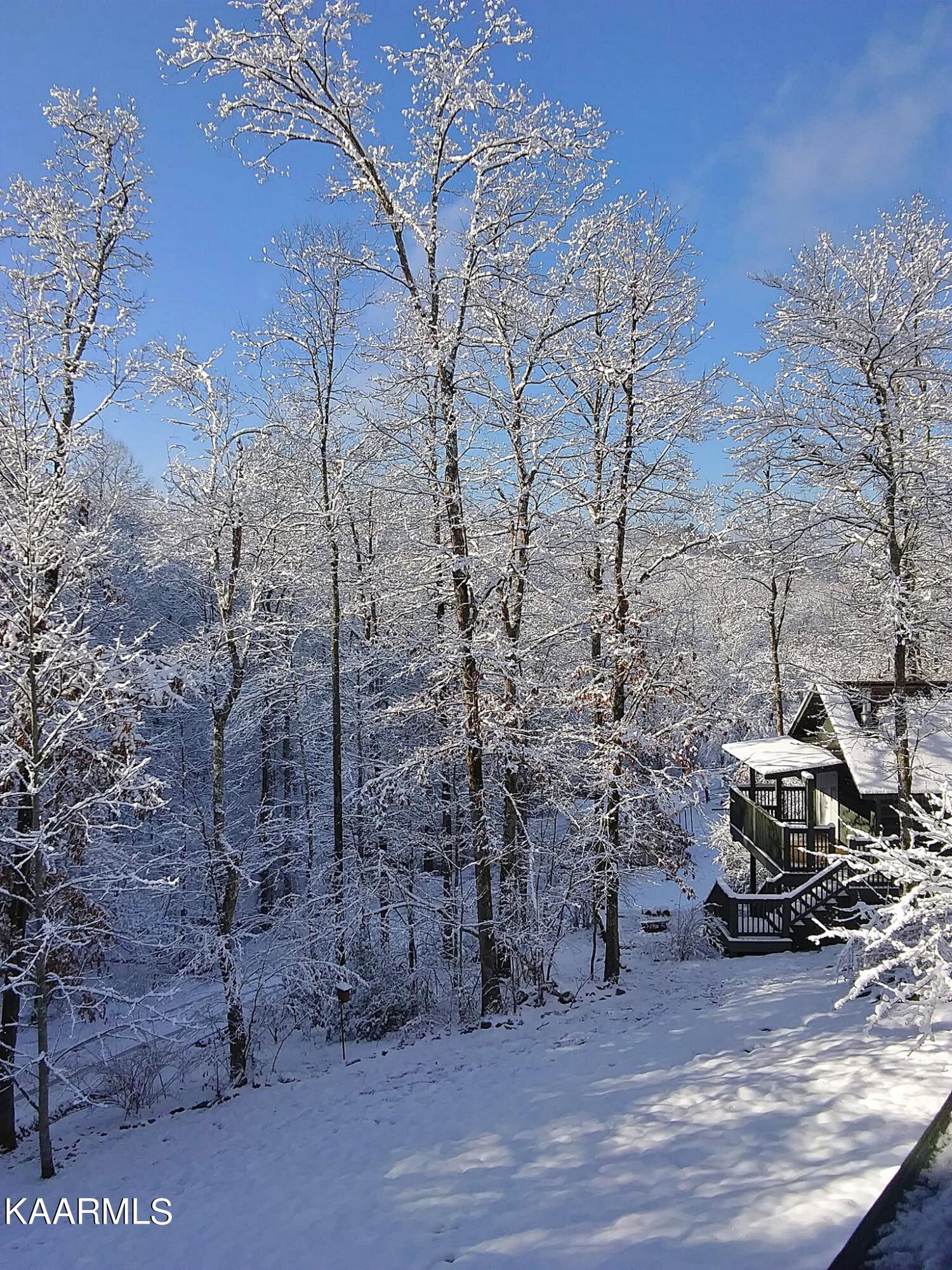 2165 Low Gap Road Robbins, TN 37852 - Photo 56 of 60 TSSnow