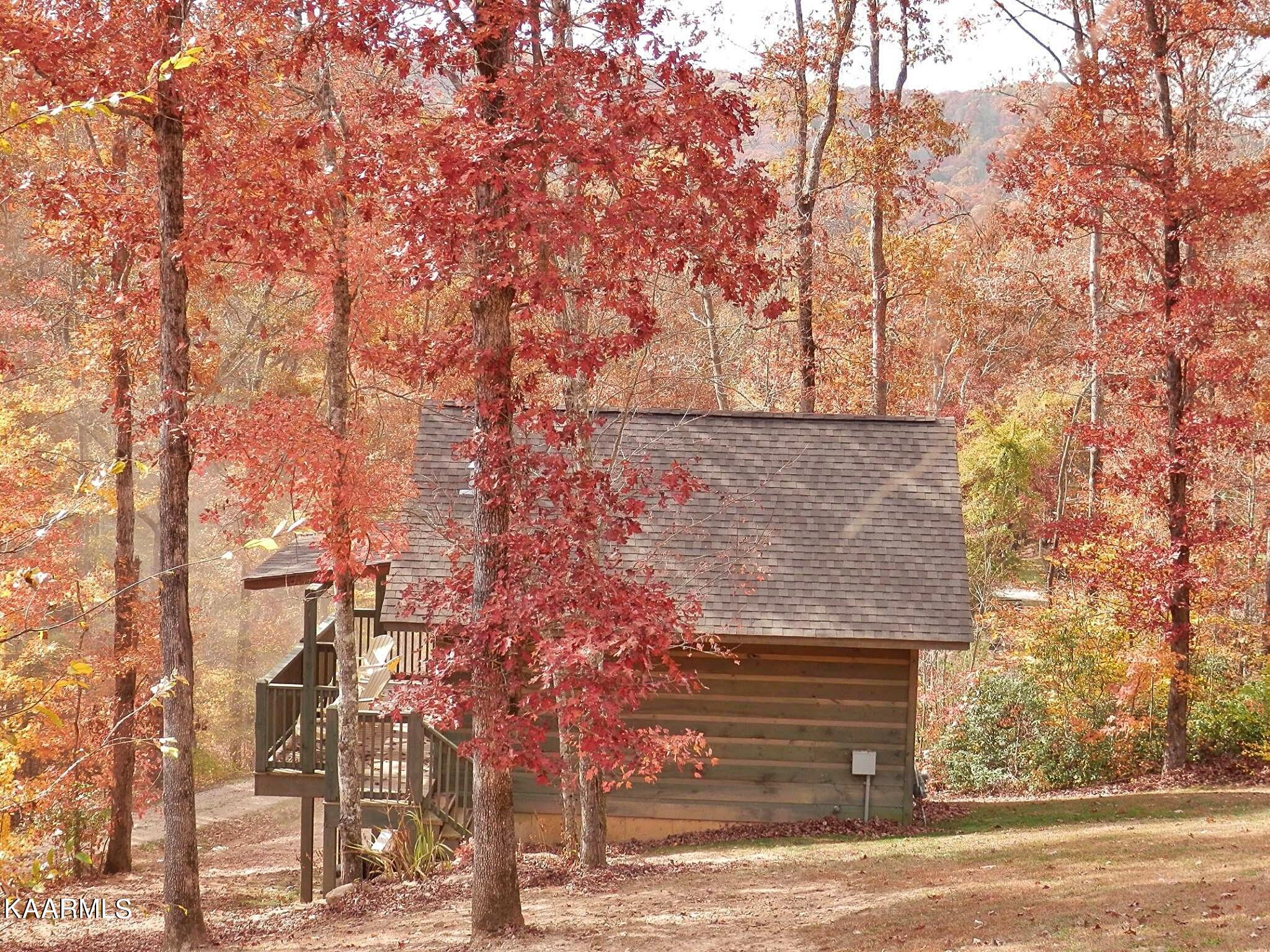 2165 Low Gap Road Robbins, TN 37852 - Photo 57 of 60 TSFall