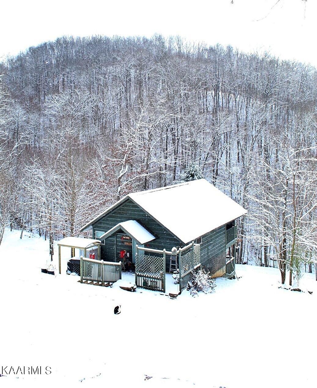 2165 Low Gap Road Robbins, TN 37852 - Photo 58 of 60 Snow