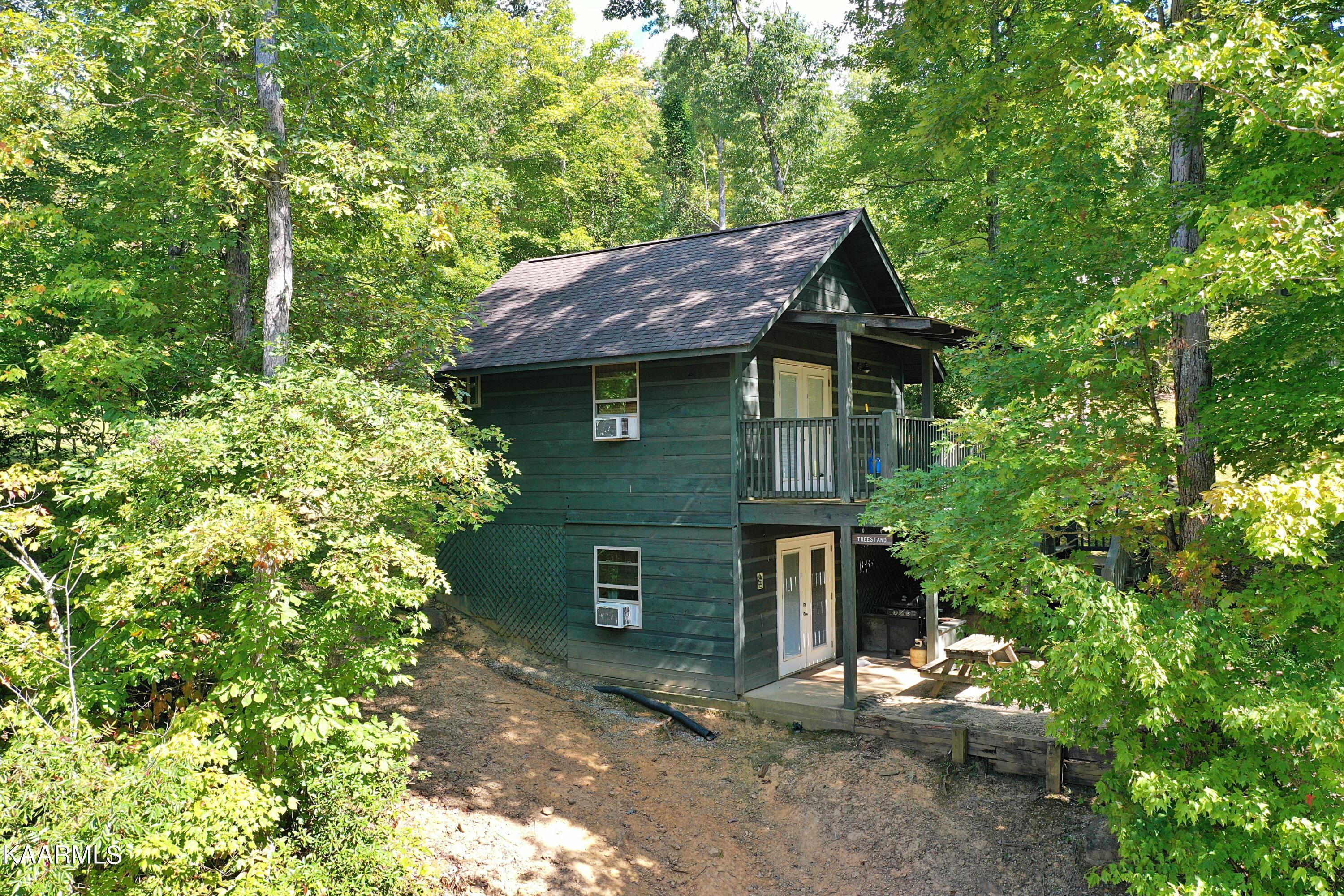 2165 Low Gap Road Robbins, TN 37852 - Photo 8 of 60 DJI_0315