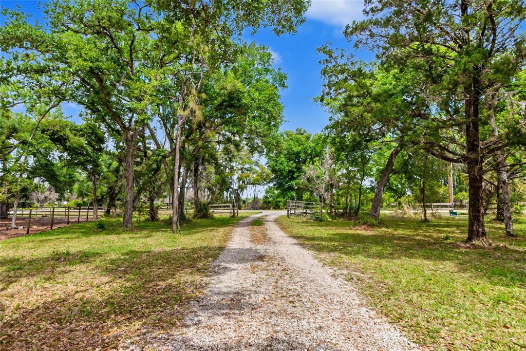 32098 Singletary Road Myakka City, FL 34251 - Photo 59 of 65
