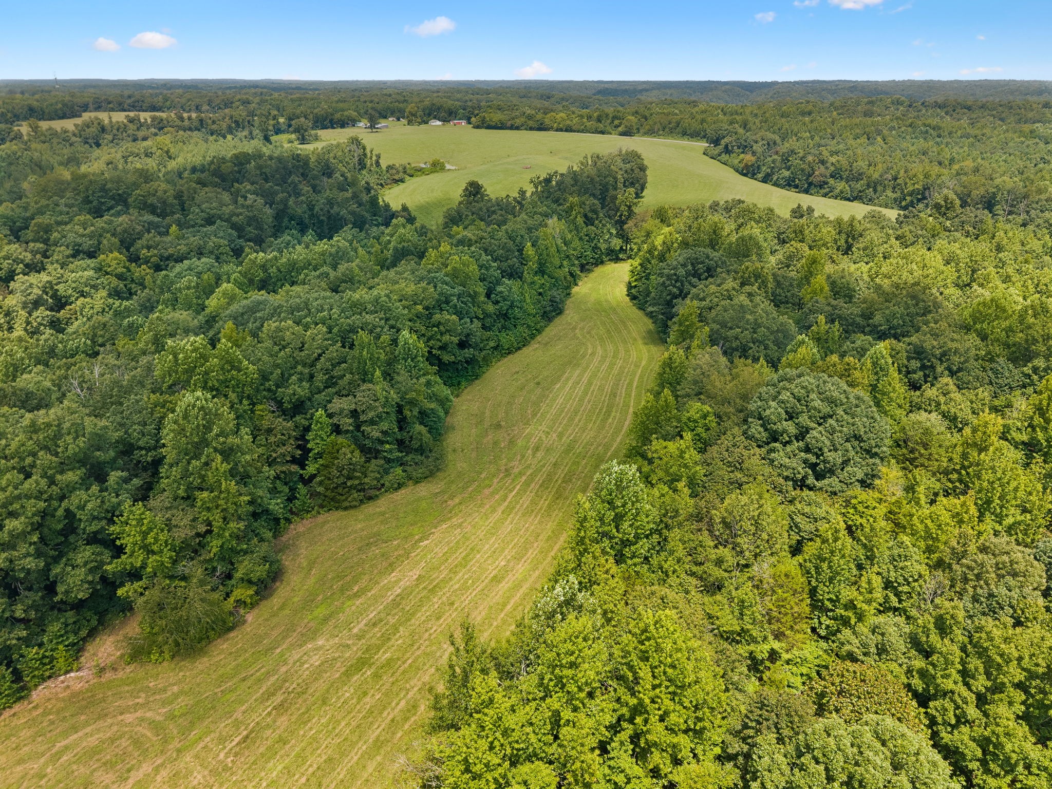 4647 Cowhorne Hollow Road Prospect, TN 38477 - Photo 10 of 26 Gallery Image 10
