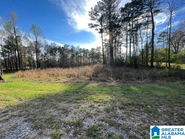 17 Rustic Oaks Drive, Unit 9 Sterrett, AL 35147 - Photo 7 of 13