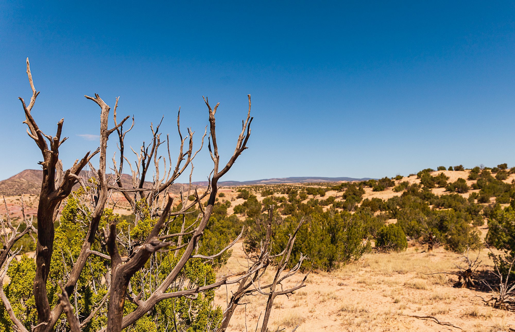 0 El Rito Estates Abiquiu, NM 87510 - Photo 53 of 56