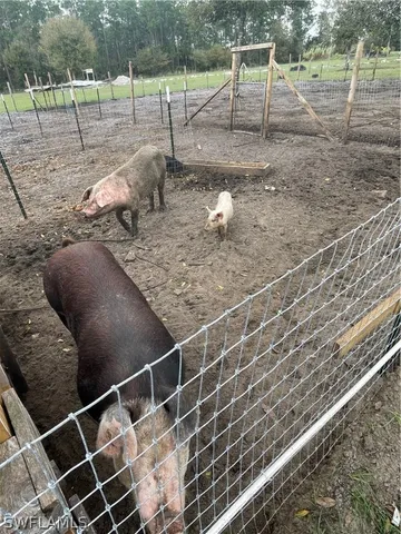 a view of a outdoor space