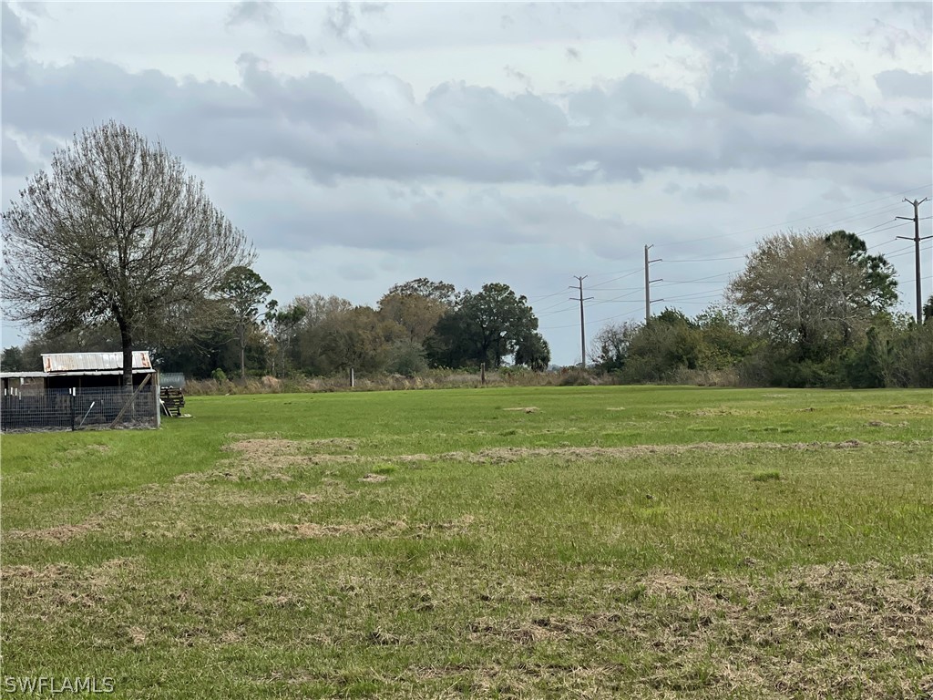 13434 Tangelo Avenue Clewiston, FL 33440 - Photo 8 of 42 a view of a field of grass and trees
