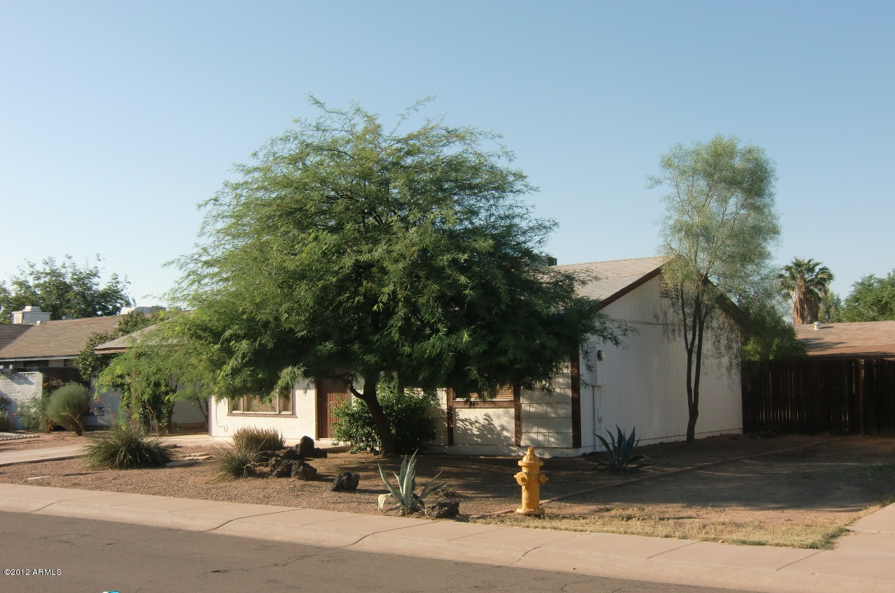 808 West El Prado Road Chandler, AZ 85225 - Photo 3 of 22 Made in the Shade