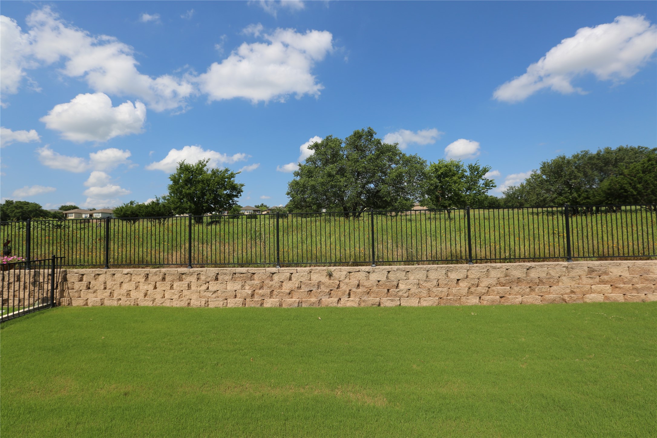 113 Monument Hill Trail Georgetown, TX 78633 - Photo 16 of 29 View of yard