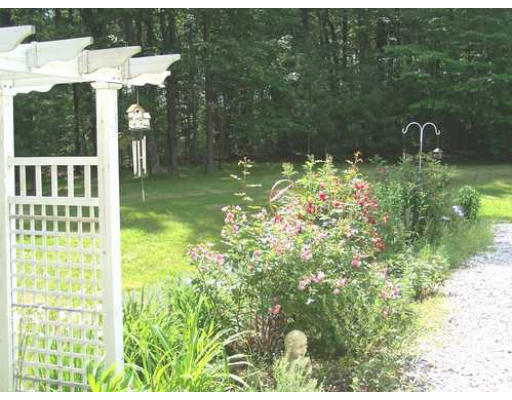 487 Reservoir Road Lunenburg, MA 01462 - Photo 2 of 22 a backyard of a house with lots of green space