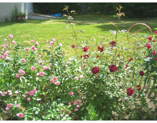 487 Reservoir Road Lunenburg, MA 01462 - Photo 3 of 22 a view of a house with a big yard and potted plants