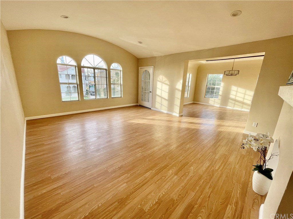 LARGE OPEN LIVING ROOM AND DINING ROOM