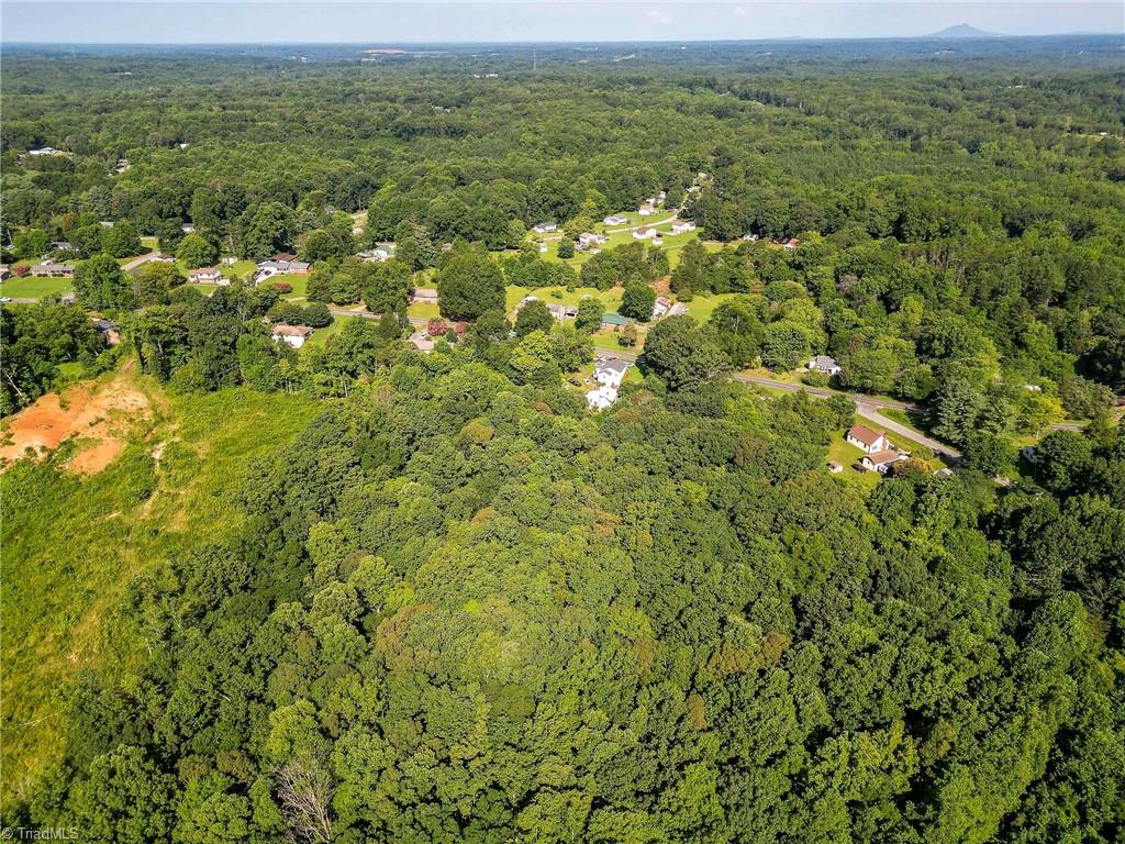 0 Davis Road Walkertown, NC 27051 - Photo 6 of 10