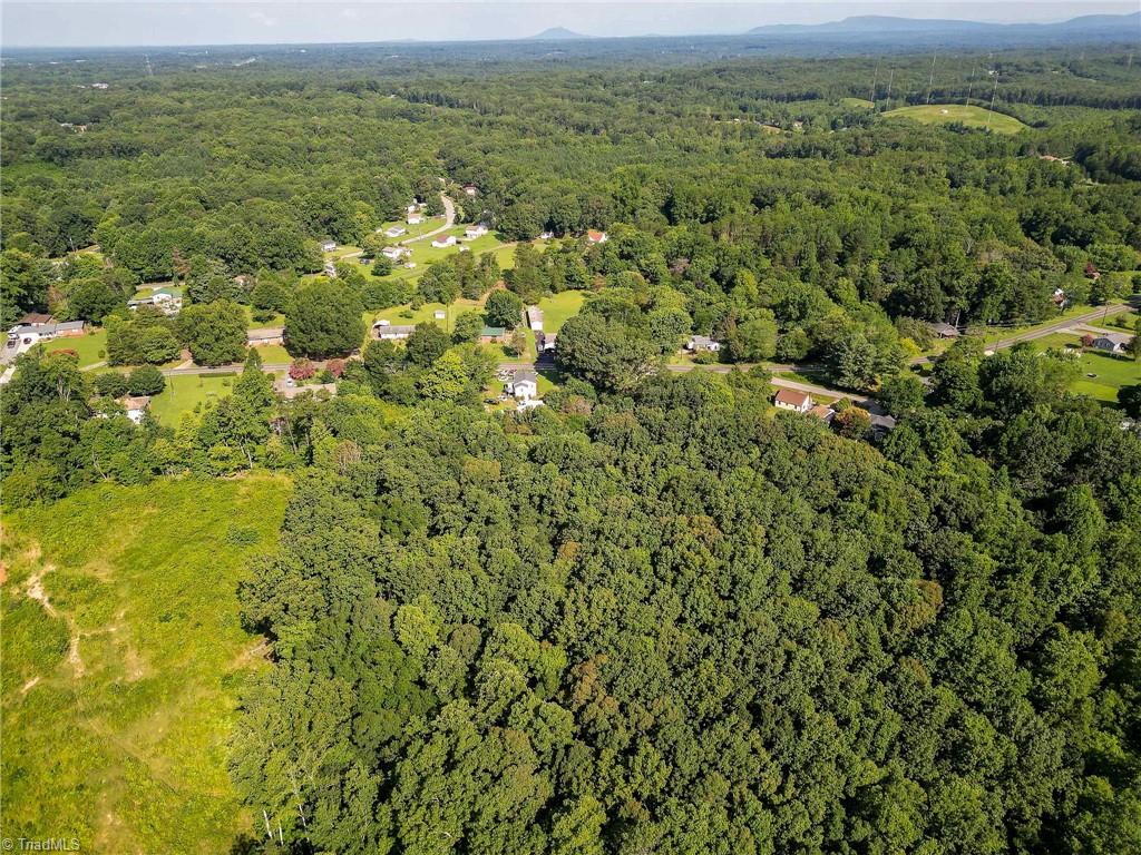 0 Davis Road Walkertown, NC 27051 - Photo 7 of 10